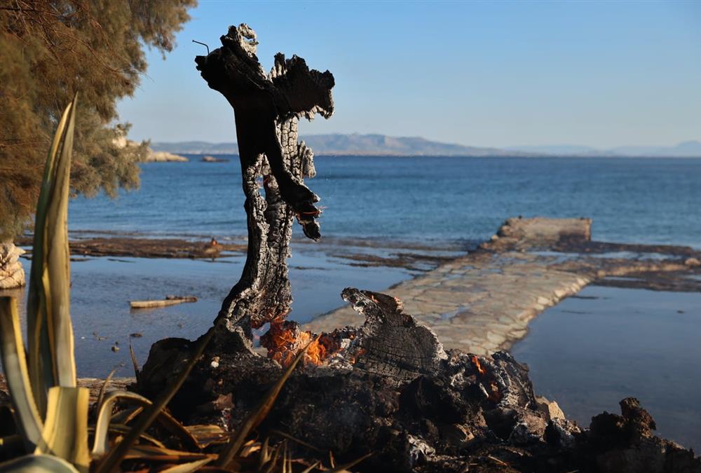 Στάχτη και γκρεμισμένοι κόποι στη Σαλαμίνα: Οι εικόνες μετά το φονικό πέρασμα της φωτιάς