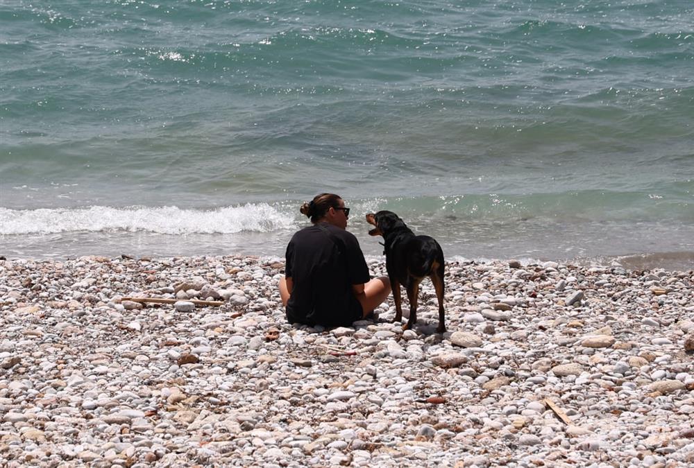 «Μύρισε» καλοκαίρι και οι Αθηναίοι ξεχύθηκαν στις παραλίες - Οι πρώτες βουτιές για μικρούς και μεγάλους