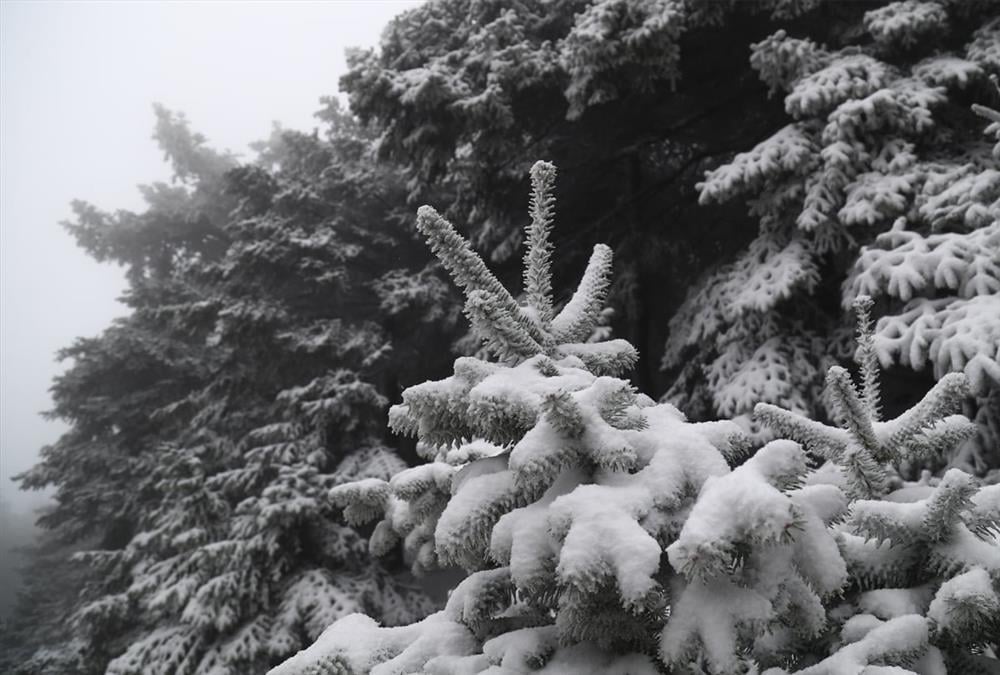Λευκή η πρώτη μέρα της άνοιξης στην Πάρνηθα