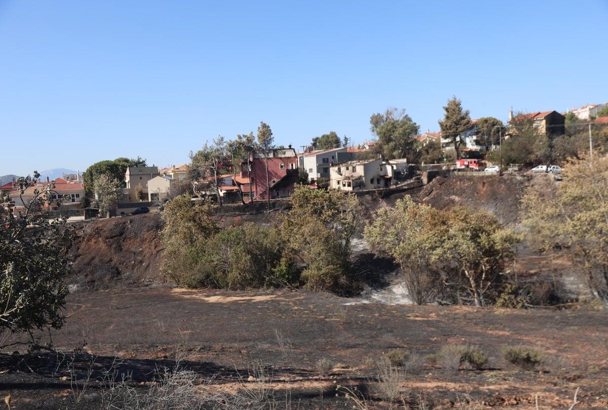 889eeeef 8db0 43fd 956f 7c4ac548004e