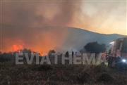 Ολονύχτια η μάχη με τις φλόγες στην Κάρυστο - Ξεκίνησαν ξανά οι ρίψεις νερού από αέρος