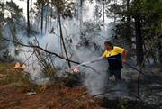 «Είναι τρομακτικό»: Οι καπνοί από την πύρινη λαίλαπα πνίγουν το Μπορντό - 300.000 απομακρύνθηκαν από τα σπίτια τους