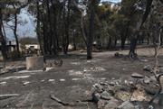 Το ethnos.gr στο Πόρτο Γερμενό: Οδοιπορικό στην καταστροφή - Χάθηκε όλη η άγρια φύση σε ένα βράδυ