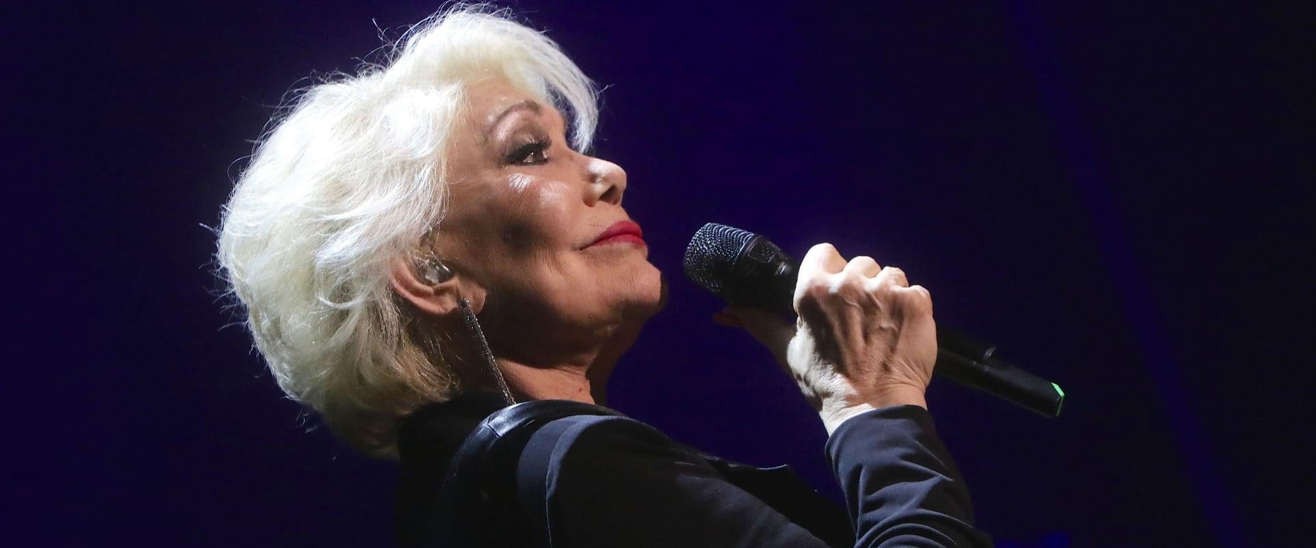 article background image