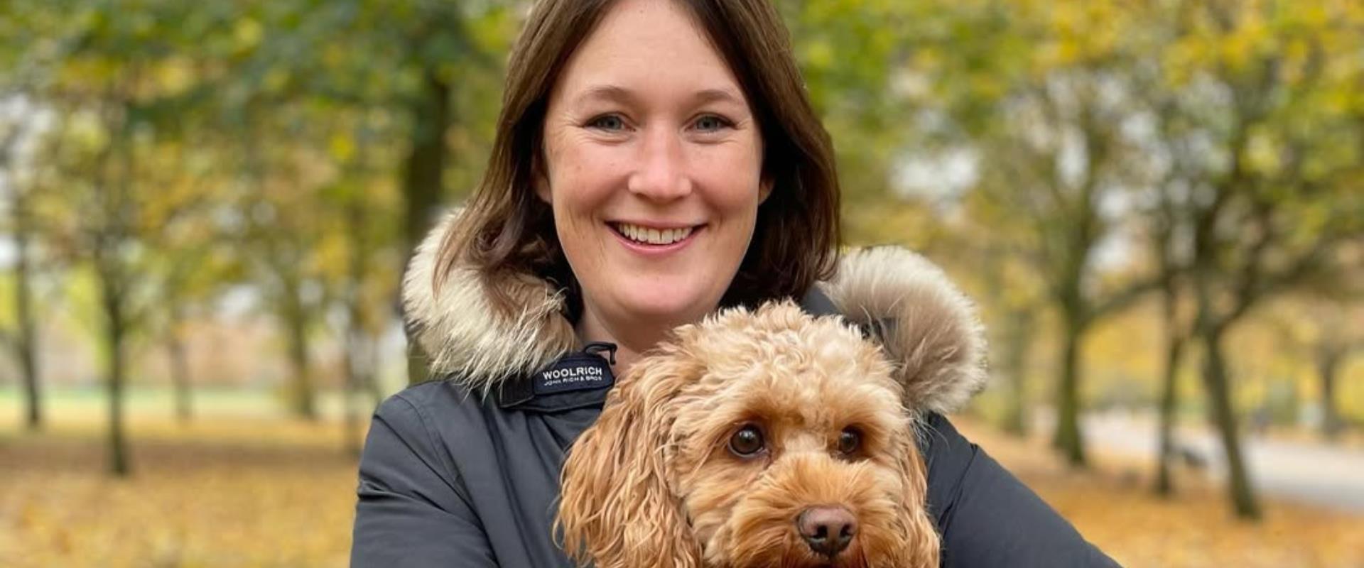 article background image