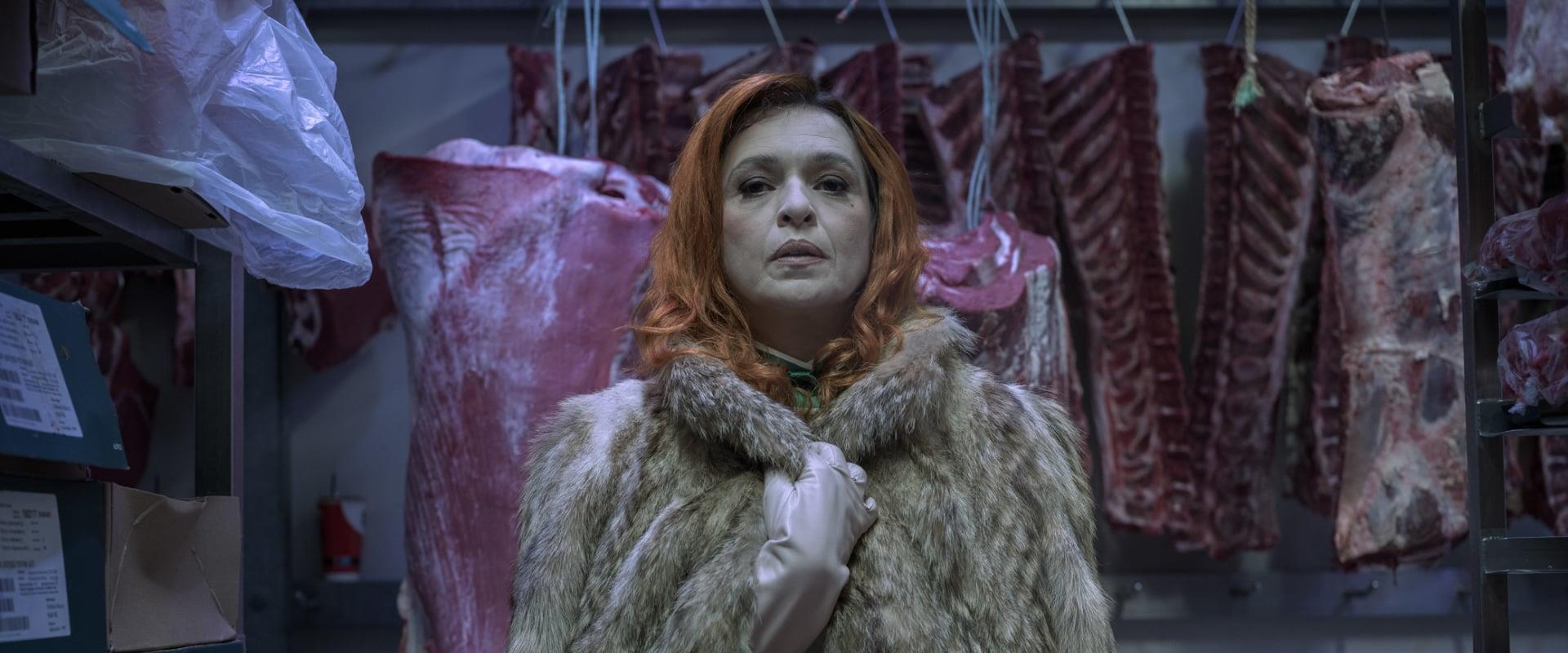 article background image