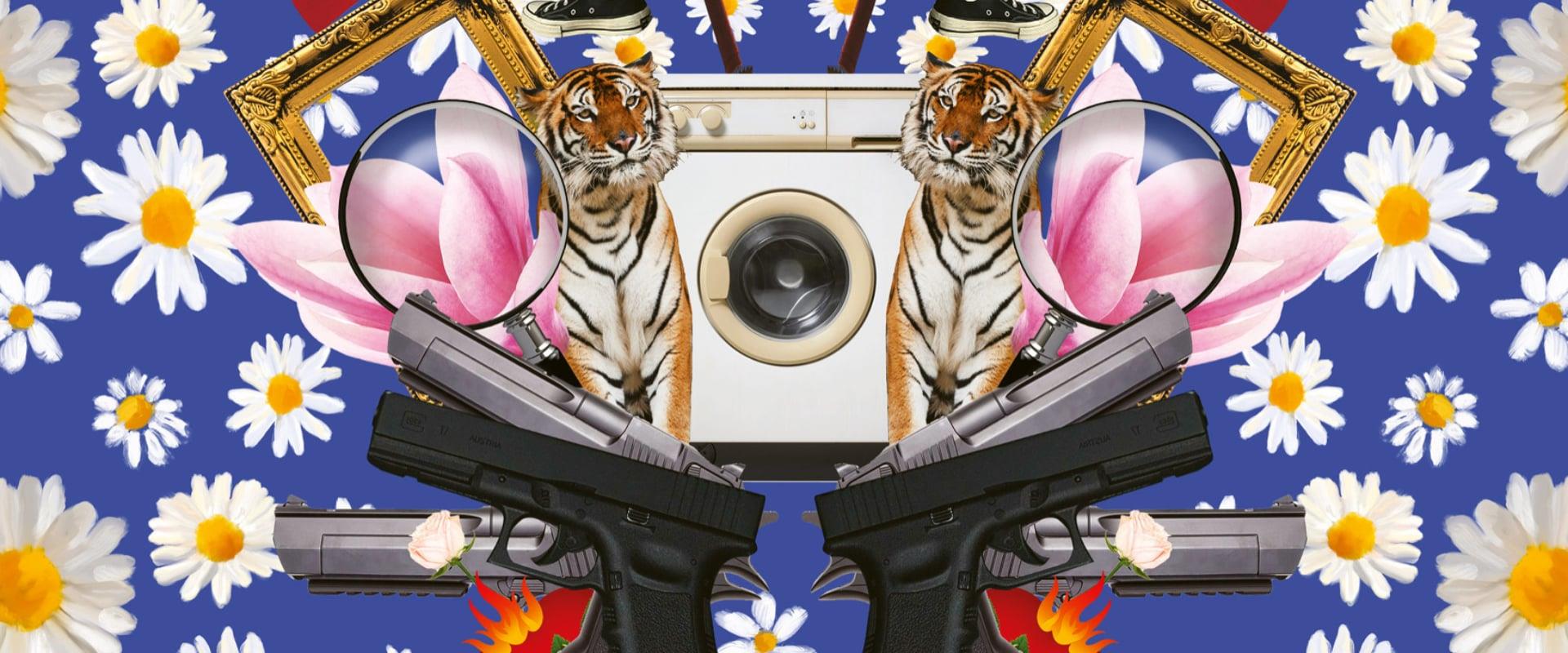 article background image