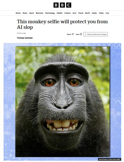 Μακάκος - BBC Μακάκος - BBC