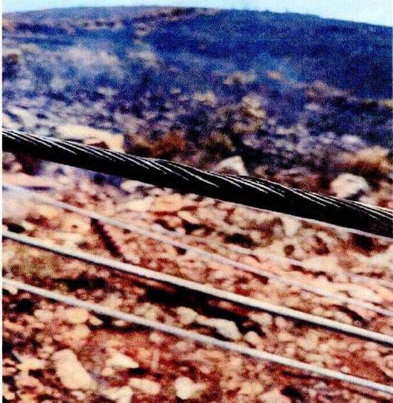 Πυρκαγιά στην Βοιωτία - Οι φωτογραφίες που δημοσίευσε η ΕΡΤ Πυρκαγιά στην Βοιωτία - Οι φωτογραφίες που δημοσίευσε η ΕΡΤ