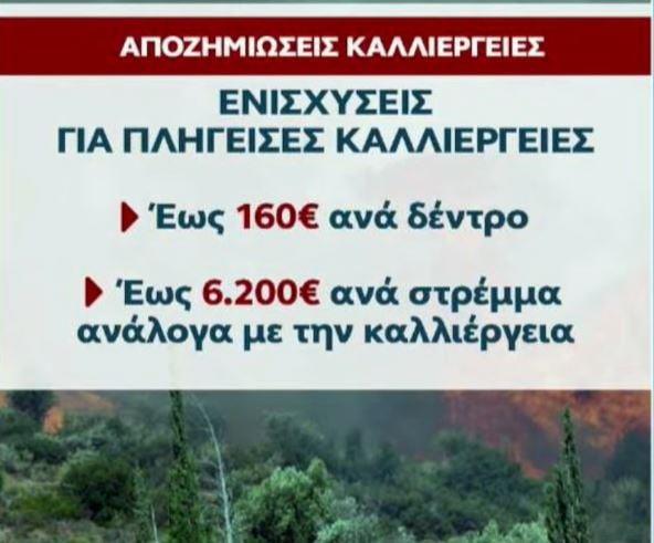 Οι αποζημιώσεις για τις πληγείσες καλλιέργειες