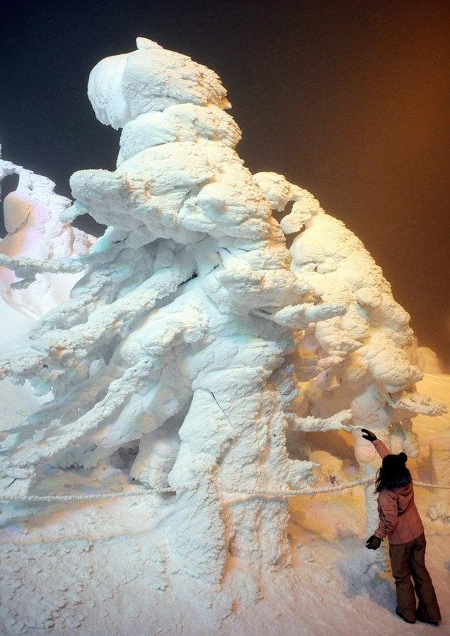 «Τέρατα χιονιού» (EPA/FRANCK ROBICHON)