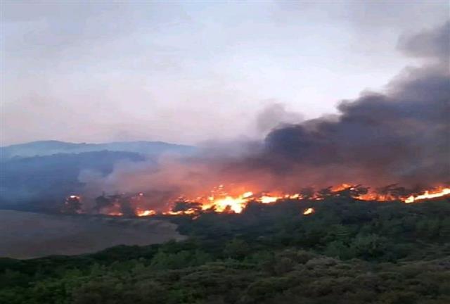 Fire now: The fire in Rhodes is out of control: the fire front is several kilometers long