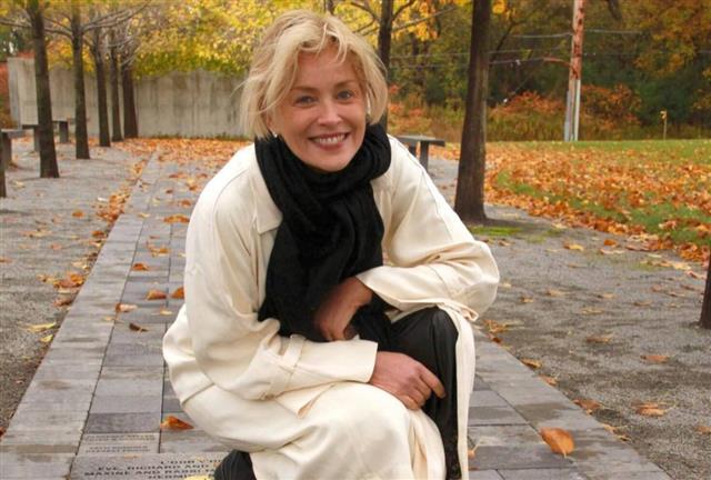 Sharon Stone speaks out after suffering a brain hemorrhage: “I am a disabled person…”