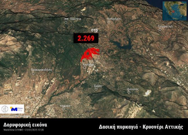 Καμένη δασική έκταση στο Κρυονέρι Αττικής (Copernicus EMS)