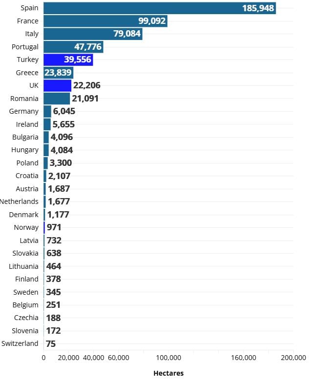 Συνολική καμένη έκταση από δασικές πυρκαγιές έως τις αρχές Αυγούστου του 2026 (Our World in Data-the Global Wildfire Information System)