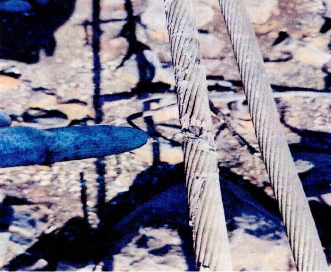 Πυρκαγιά στην Βοιωτία - Οι φωτογραφίες που δημοσίευσε η ΕΡΤ Πυρκαγιά στην Βοιωτία - Οι φωτογραφίες που δημοσίευσε η ΕΡΤ