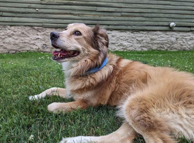 Το ταξίδι του Τομ και της Σαβάνα