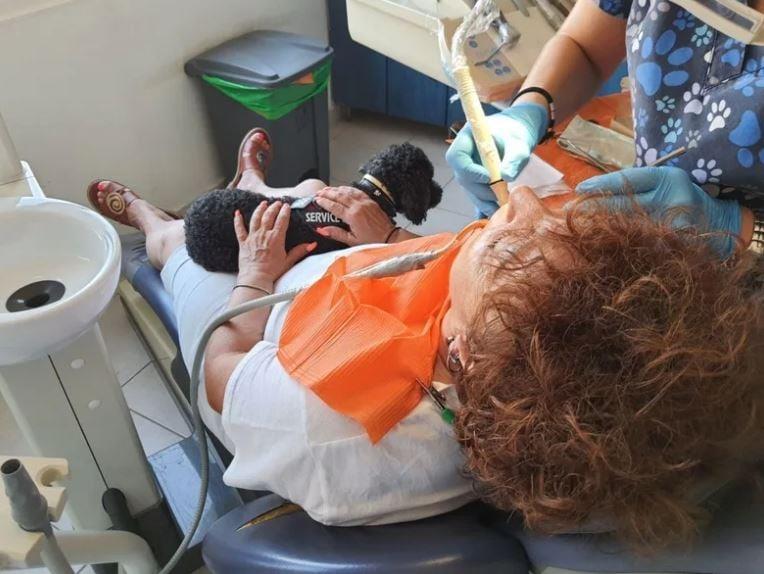 Η Άριελ εν ώρα εργασίας