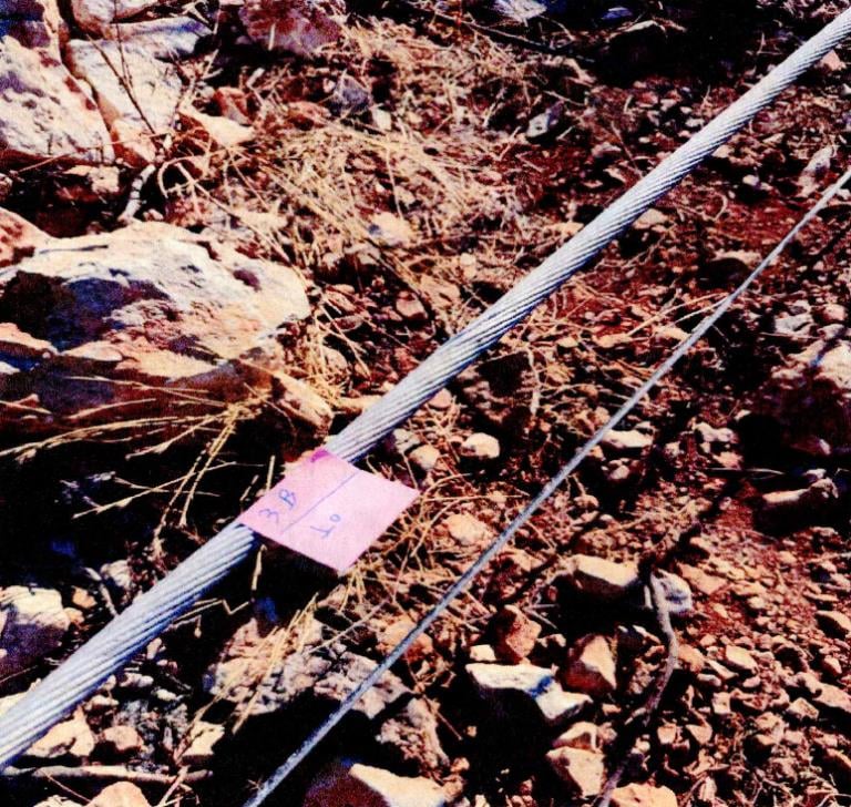 Πυρκαγιά στην Βοιωτία - Οι φωτογραφίες που δημοσίευσε η ΕΡΤ Πυρκαγιά στην Βοιωτία - Οι φωτογραφίες που δημοσίευσε η ΕΡΤ