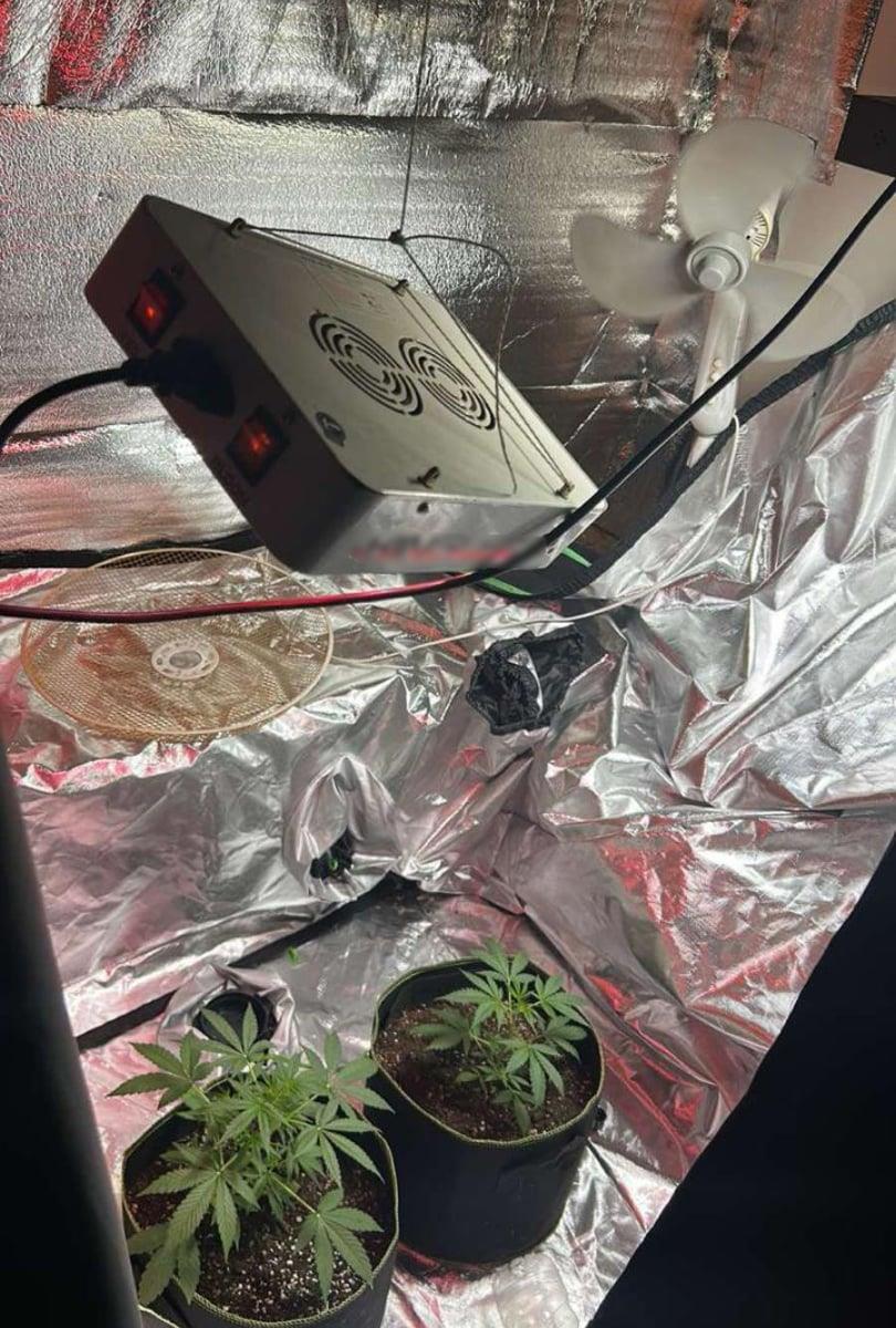 Ρόδος: Τέσσερεις συλλήψεις για μεγάλη ποσότητα ναρκωτικών