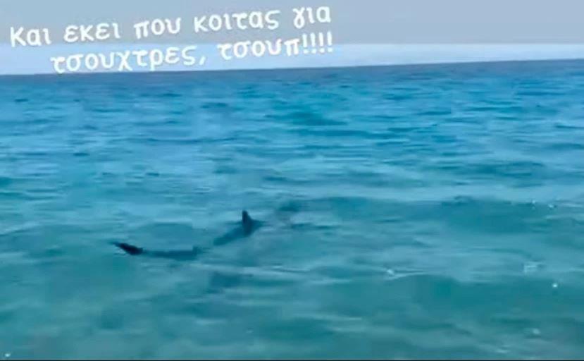 Γιώργος Λιάγκας: Καρχαρίας πλησίασε το σκάφος στο οποίο βρισκόταν