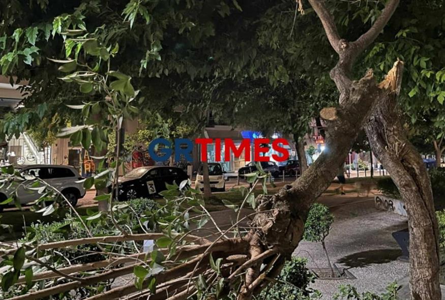 Έπεσαν δέντρα στην Καλαμαριά (grtimes.gr)