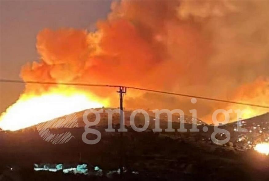 Φωτιά στην Κάρυστο (egnomi.gr)