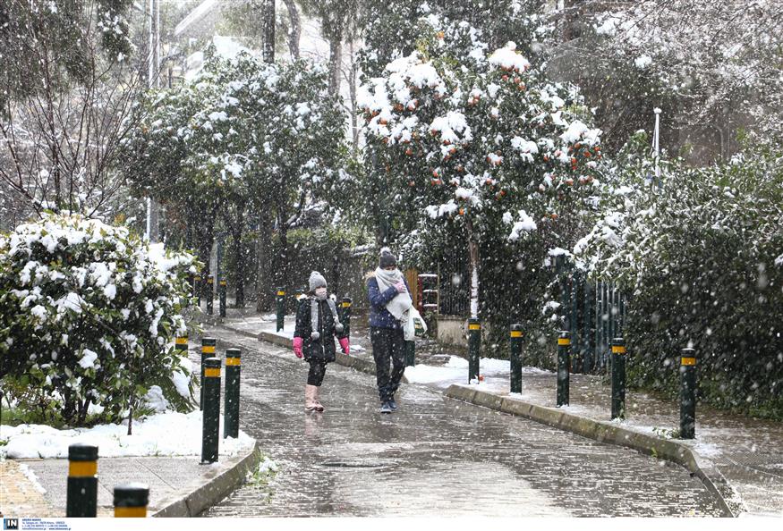 Χιόνια στα Βόρεια Προάστια της Αθήνας (ΙΝΤΙΜΕ)