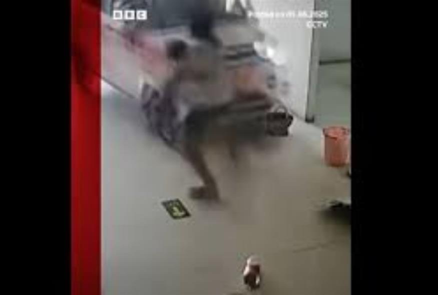 Κίνα: Όχημα εκτός ελέγχου μπούκαρε σε εστιατόριο (screenshot)