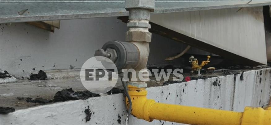 Ντοκουμέντα από τη Βιολάντα