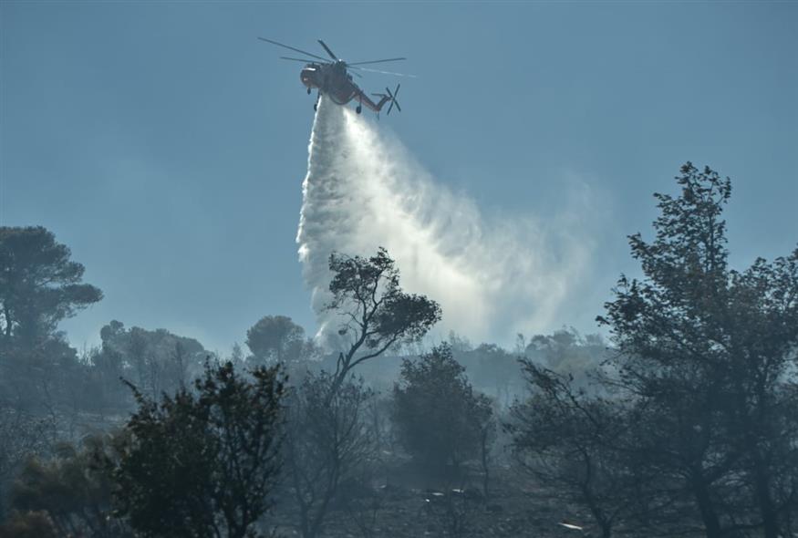 (ΚΩΣΤΑΣ ΤΖΟΥΜΑΣ/EUROKINISSI)