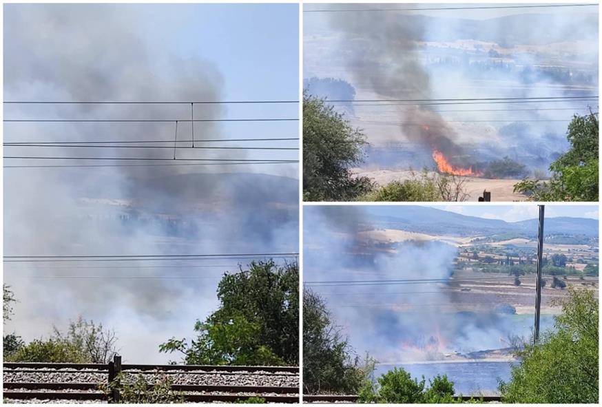 Στιγμιότυπα από τη φωτιά στα Οινόφυτα/ethnos.gr