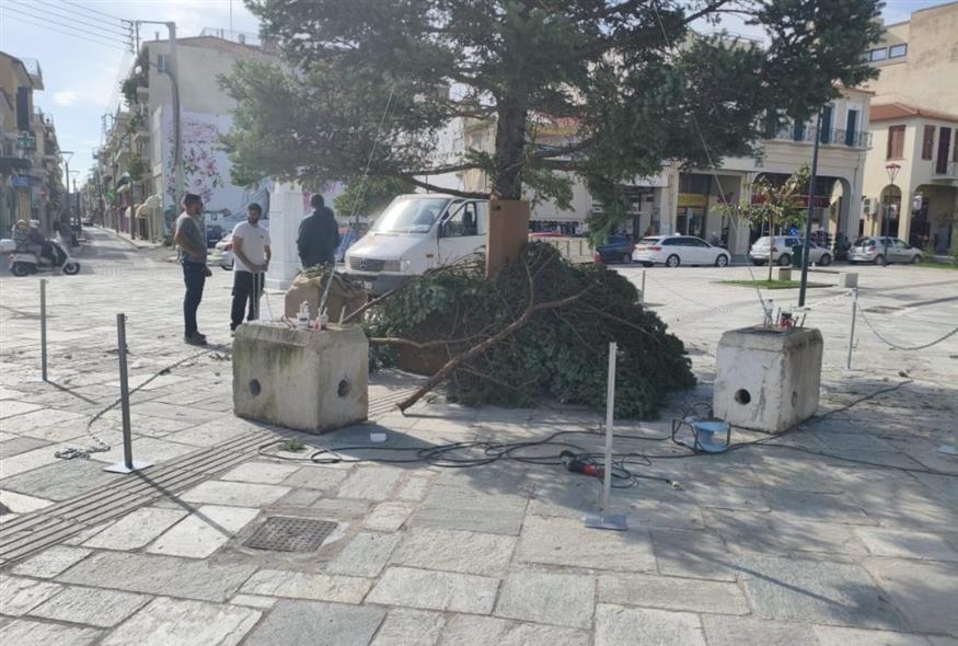 Η πλατεία και το δέντρο (tharros.gr)