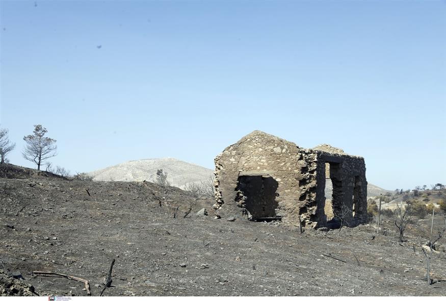 Φωτιά στην Ανατολική Αττική/ INTIME (GALLERY)