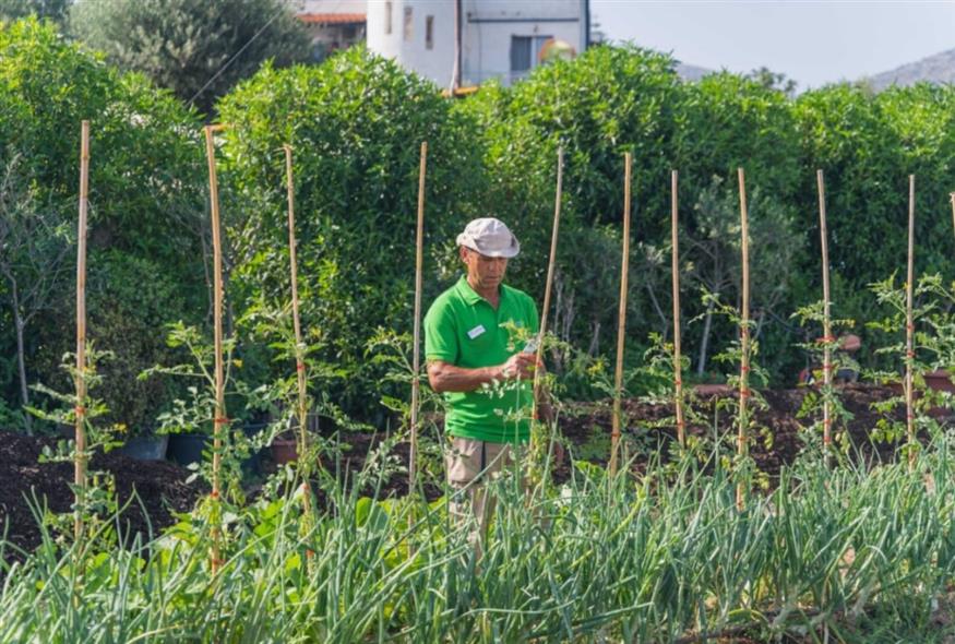 Metaxa Hospitality Group: Ο πρώτος Όμιλος φιλοξενίας στην Ελλάδα με πιστοποιημένες βιολογικές-αναγεννητικές γαίες από τη Δ.Η.Ω.