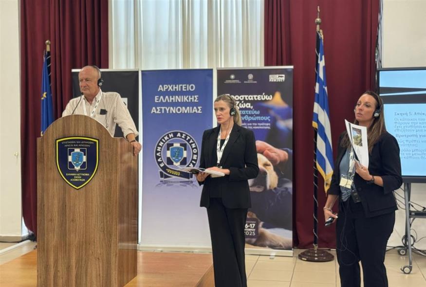 Τα αδέσποτα ως εύκολη λεία για κακοποιητές και δείκτης αύξησης της εγκληματικότητας Τα αδέσποτα ως εύκολη λεία για κακοποιητές και δείκτης αύξησης της εγκληματικότητας