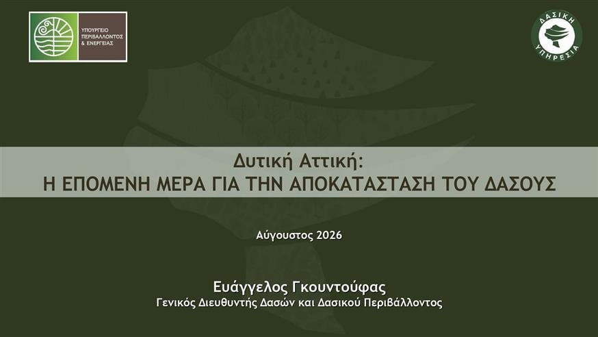 Φωτιές
