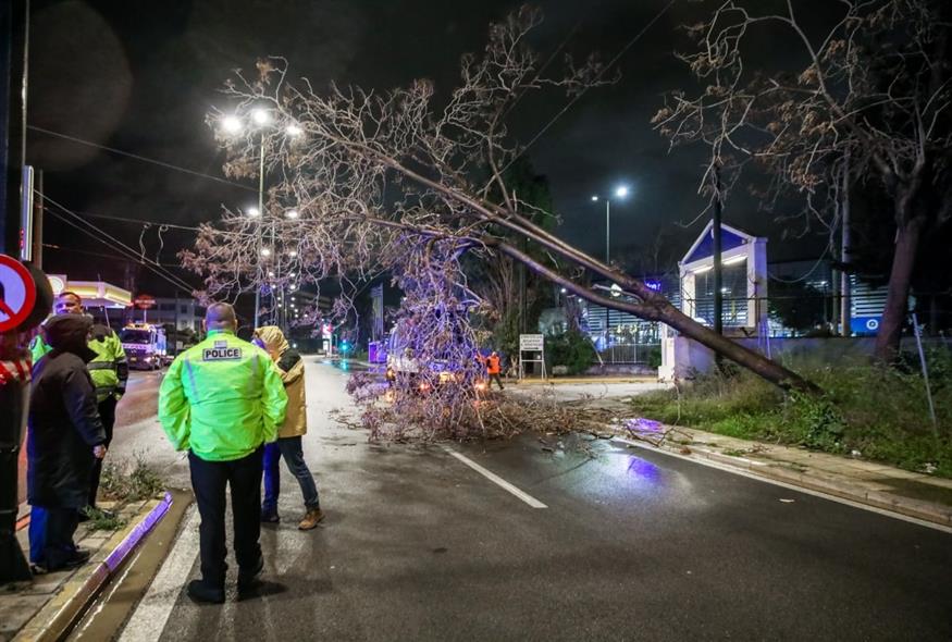 Διακοπή κυκλοφορίας στην οδό Πειραιώς από πτώση δέντρου (EUROKINISSI)
