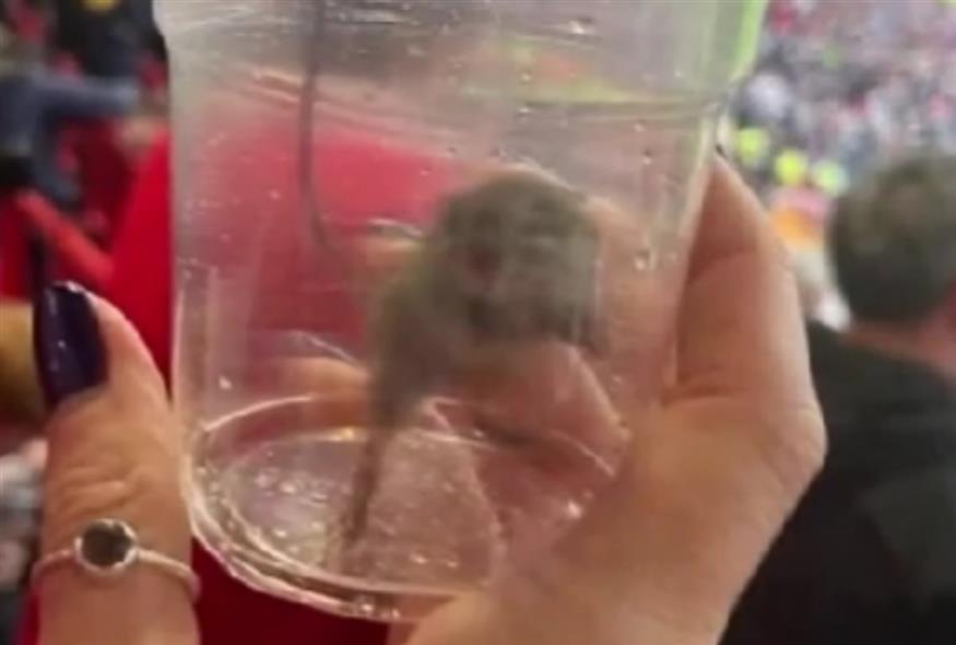 Οπαδός της Σάντερλαντ έπιασε ποντίκι