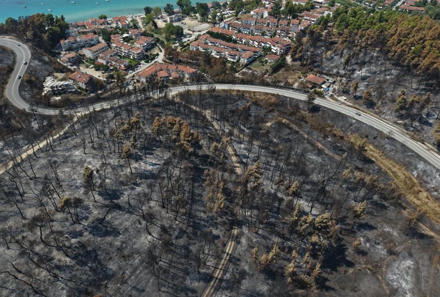 Καμένες εκτάσεις που άφησε πίσω η φωτιά στην Χαλκιδική (ΙΝΤΙΜΕ)