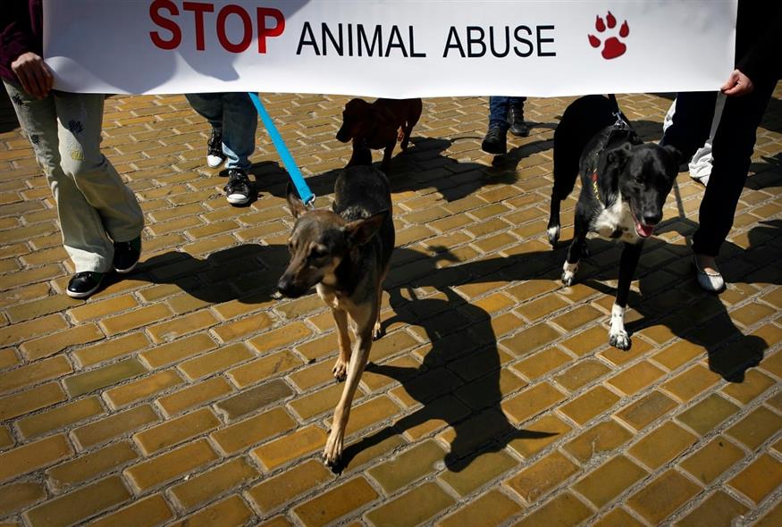 Πανό ενάντια στην κακοποίηση ζώων (AP Photo/Valentina Petrova)