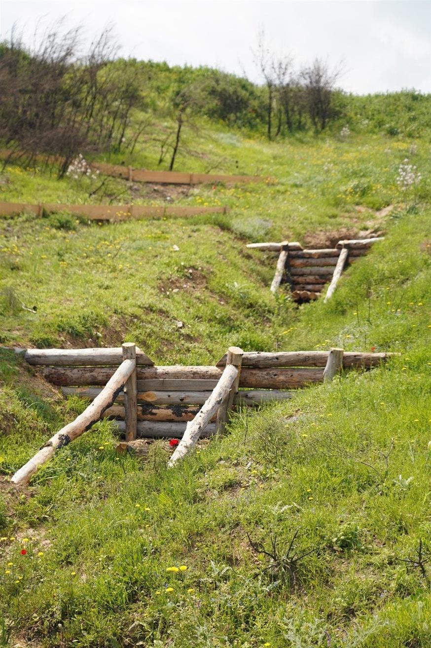 Αντιδιαβρωτικά έργα στο δάσος της Δροσοπηγής