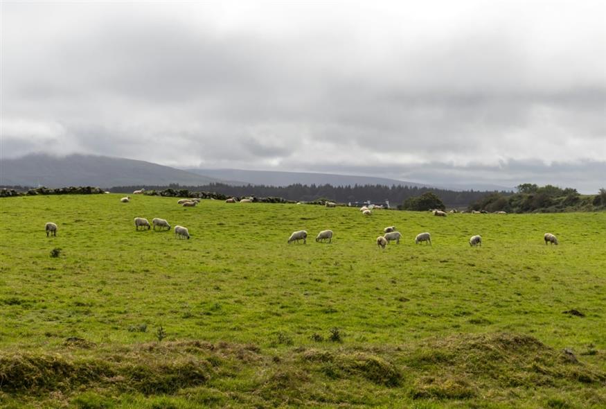 βοσκοτόπια/unsplash