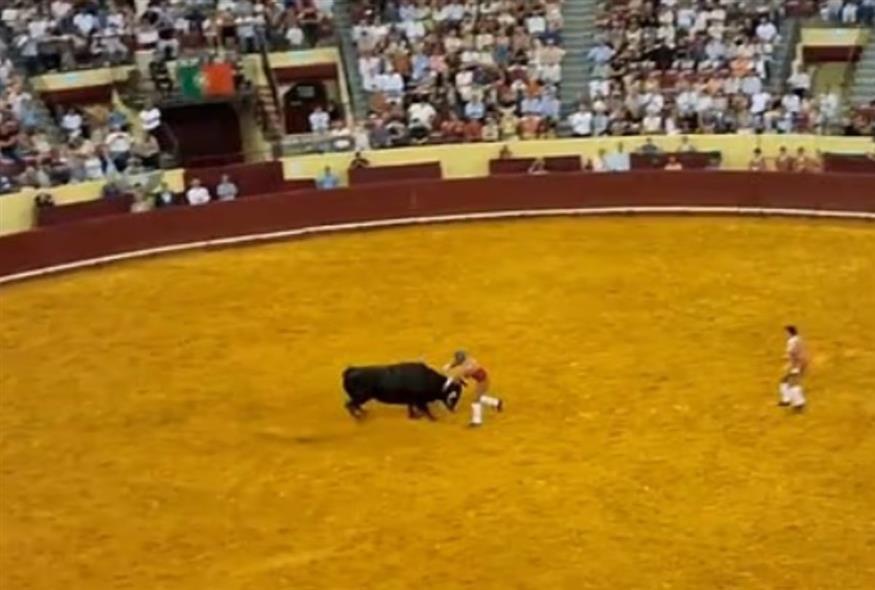 ταυρομάχος/daily mail