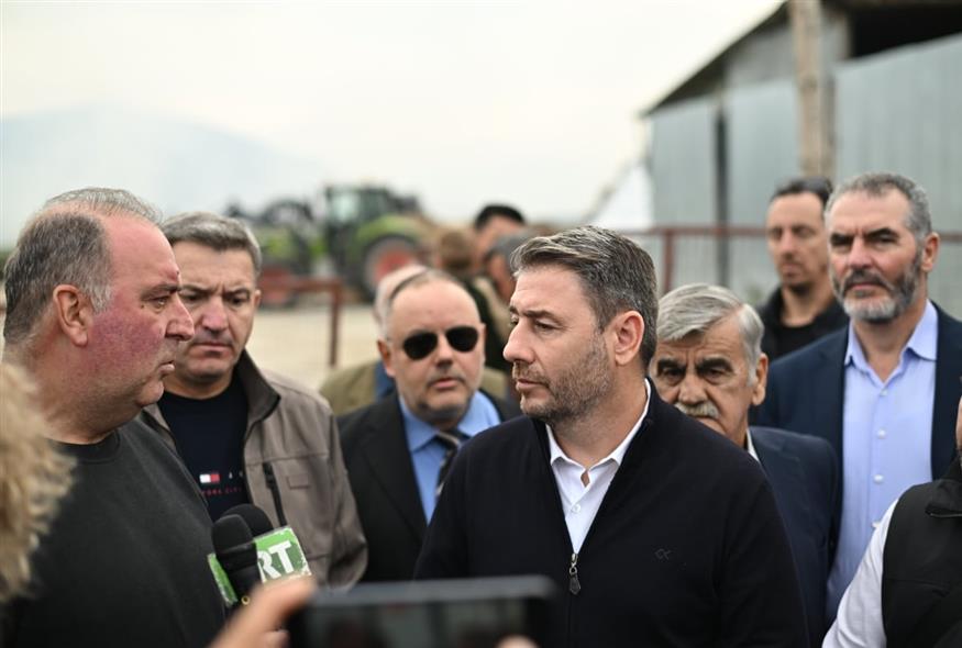 Ο πρόεδρος του ΠΑΣΟΚ-ΚΙΝΑΛ, Νίκος Ανδρουλάκης (ΕUROKINISSI)