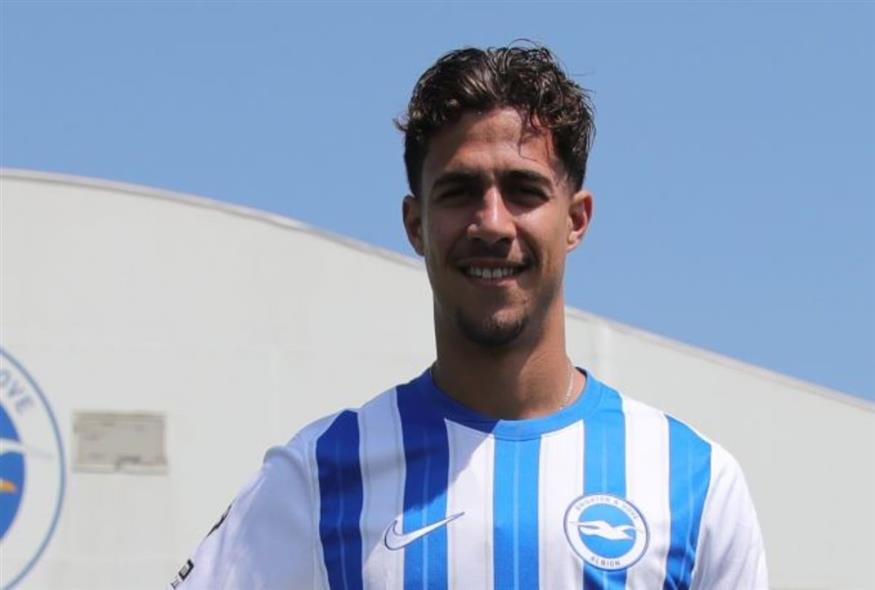 Brighton Hove Albion