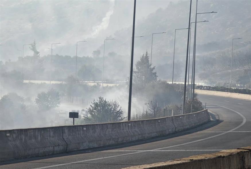 Φωτιά στο Ακραίφνιο Βοιωτίας Φωτιά στο Ακραίφνιο Βοιωτίας