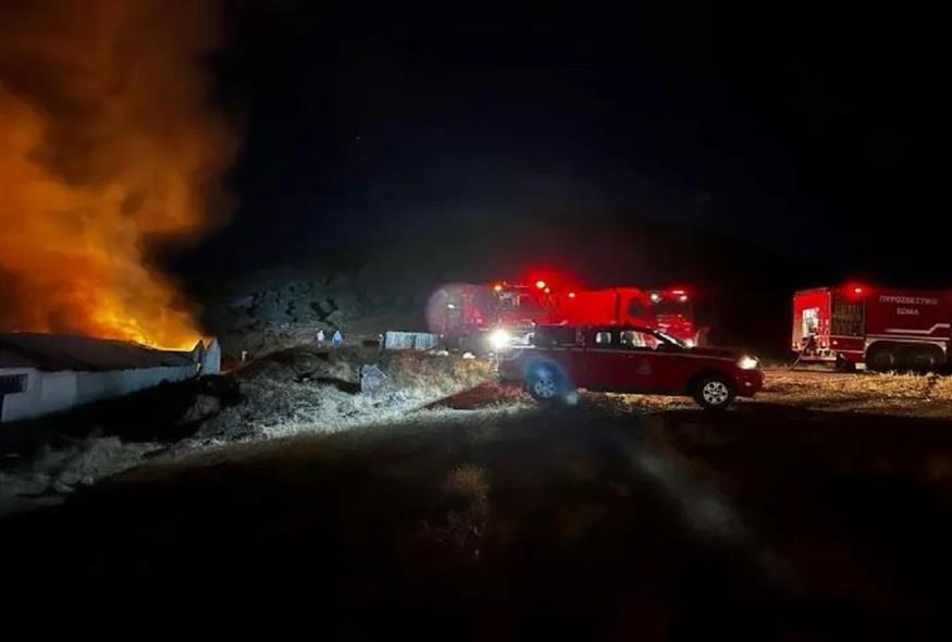 Φωτιά σε ποιμνιοστάσιο στη Μαγνησία (ethessaliagr)