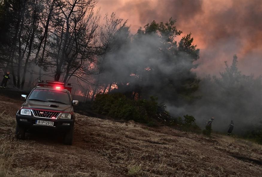 Φωτιά στον Ωρωπό (ΚΩΣΤΑΣ ΤΖΟΥΜΑΣ/EUROKINISSI)