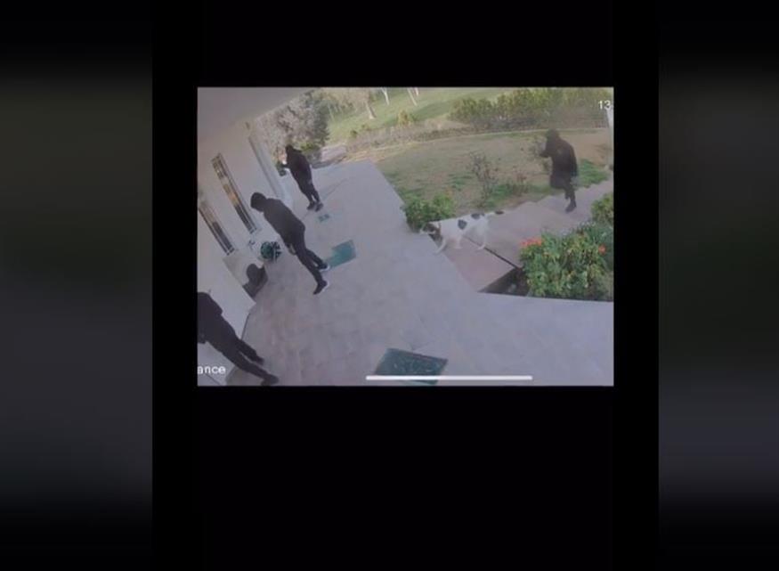 Ληστεία σε σπίτι με σκύλο (TIKTOK)